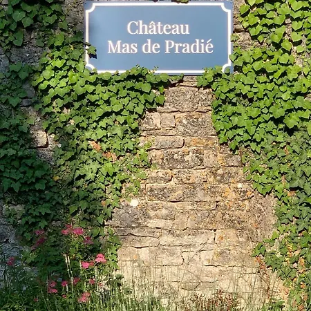 Hébergement de vacances The Guardians Cottage, Chateau Mas De Pradie